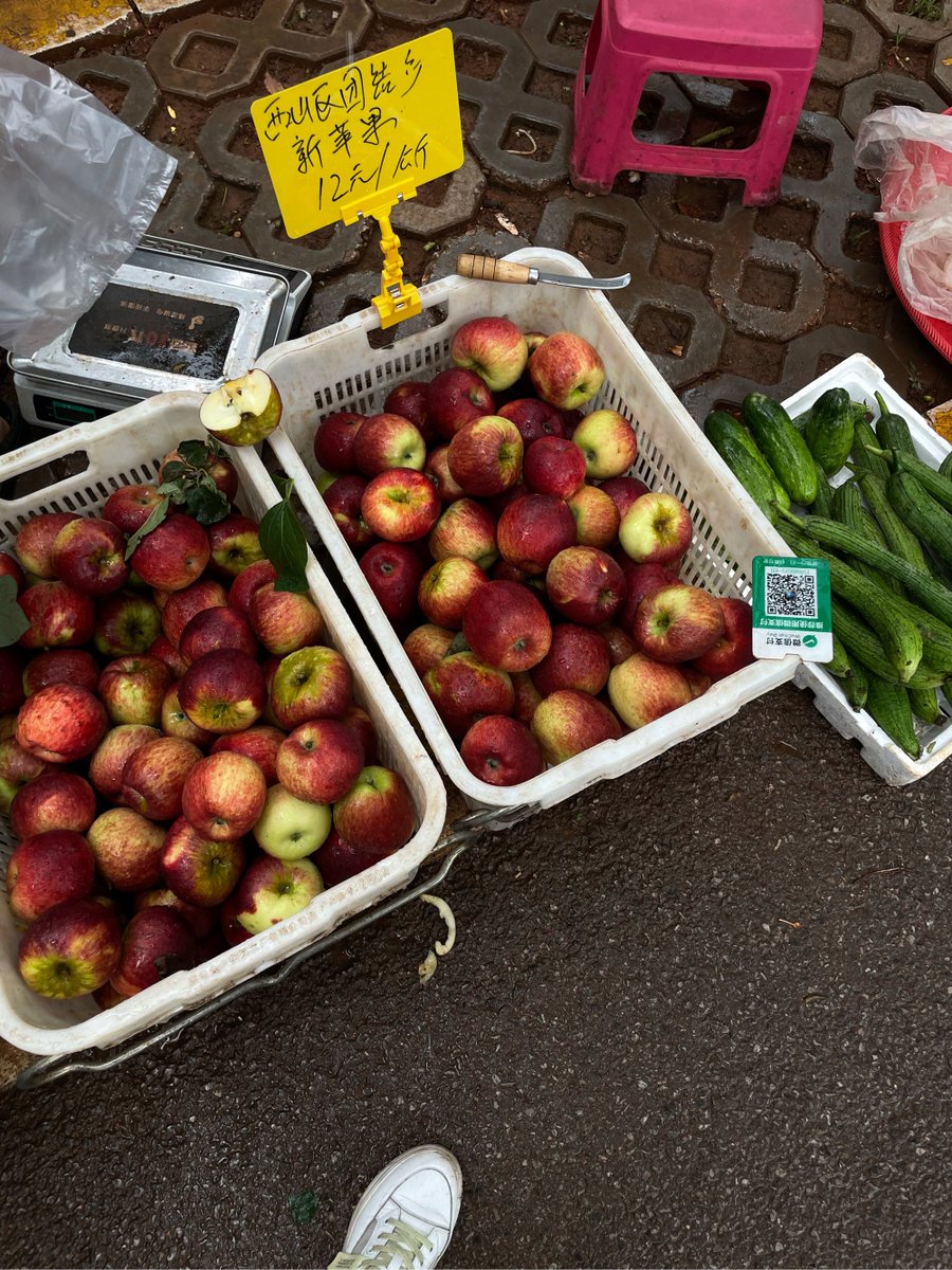 oulipien_from's tweet photo. Fresh organic veggies u0026 premium eggs in stock at the neighborhood market! Grab your favorite seasonal produce before they sell out https://t.co/WBEBIQz3vR