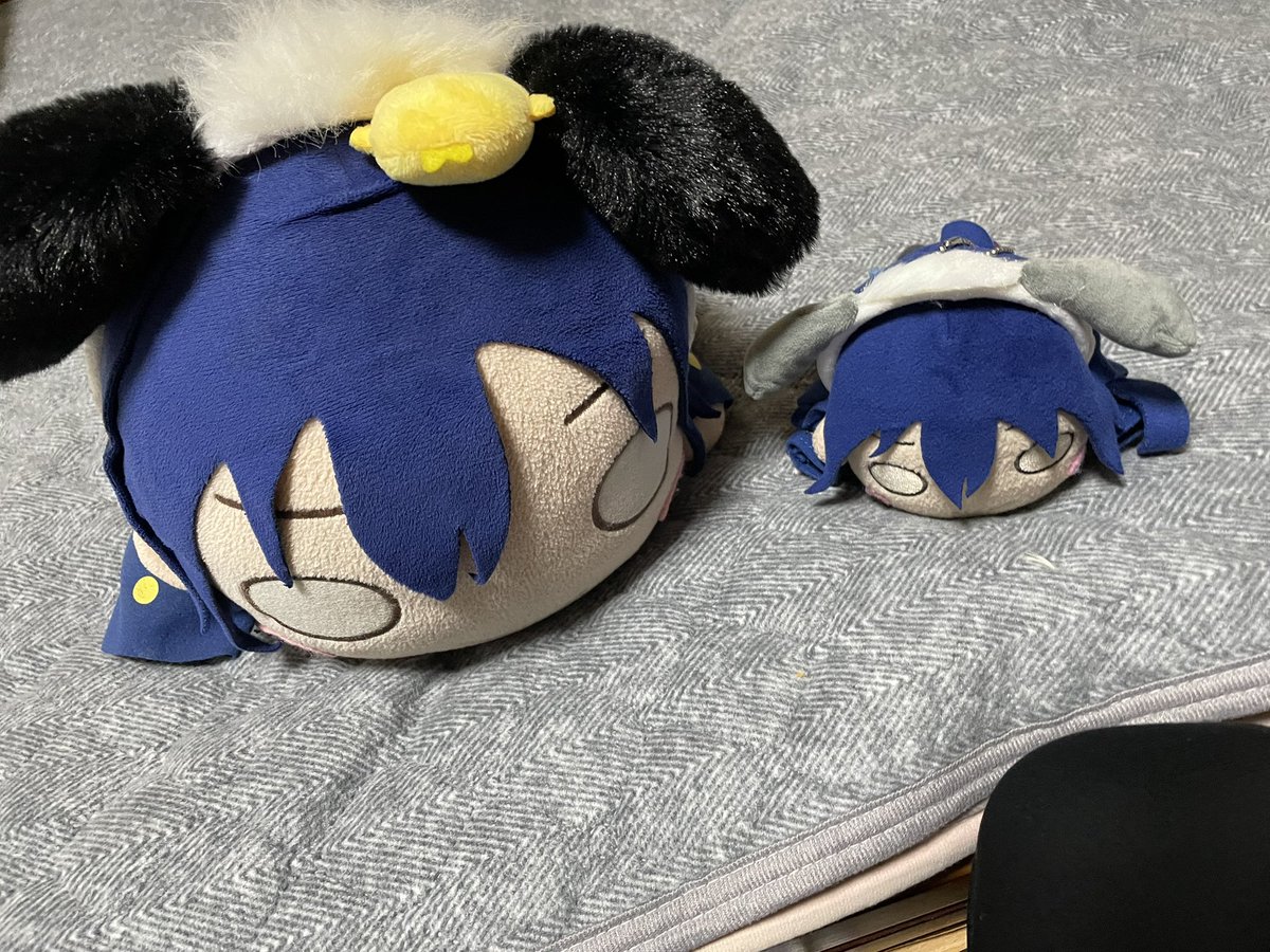 Tiger_Bluen's tweet photo. おはよー
今日も頑張りますっ https://t.co/4koYs0OyMg