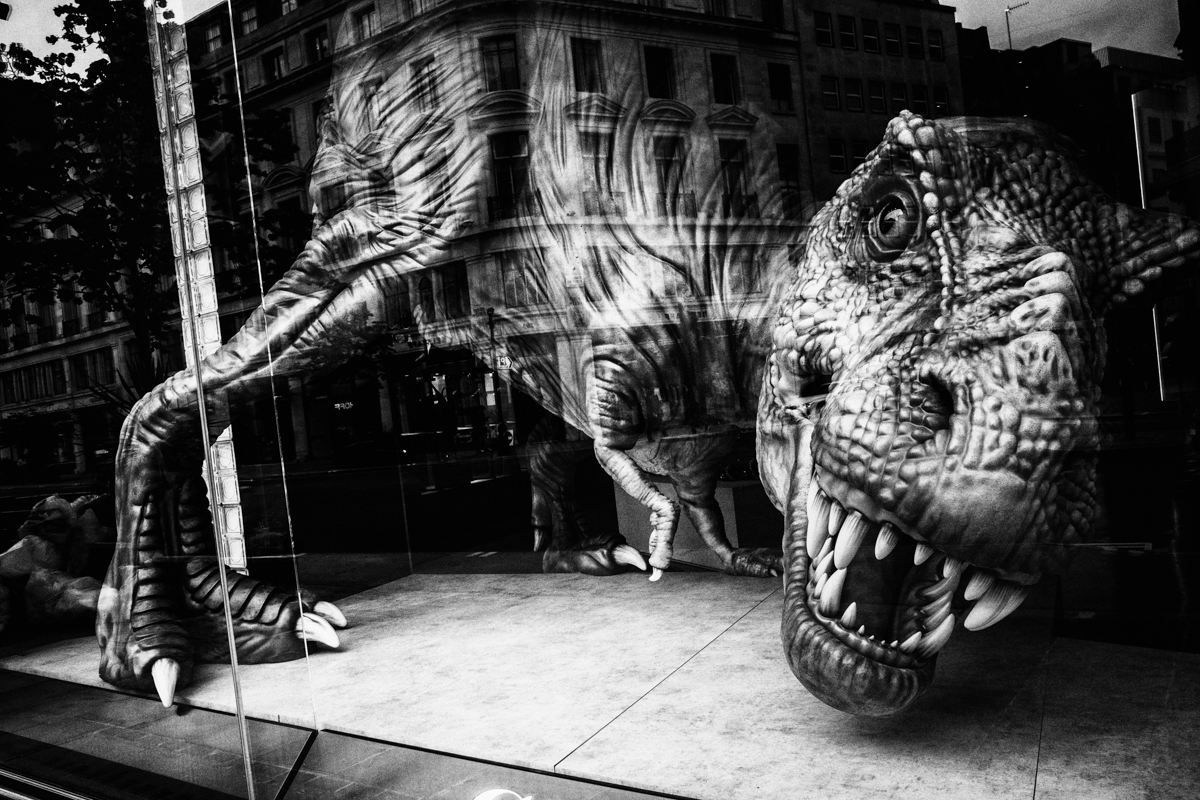 kubowicz_tomasz's tweet photo. #StreetPhotography
#Street https://t.co/cB10xTP6V4
