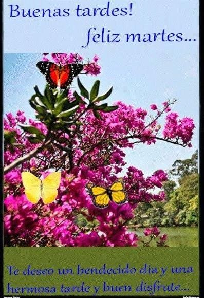 IrmaHernandey's tweet photo. 💫🫶🏼 https://t.co/Sn1sviGAdu