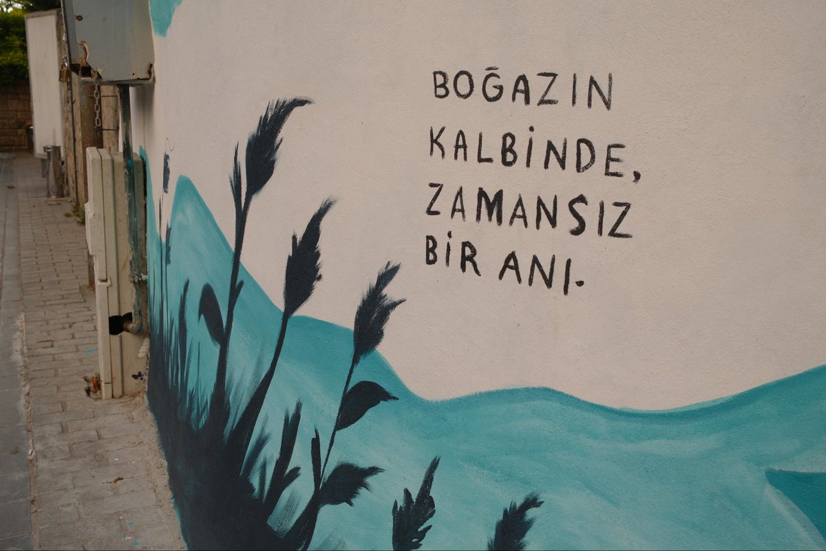 mandaIina's tweet photo. Emre’nin özenerek araştırıp aldığı fotoğraf makinesiniyle çektiğim fotoğraflar.. Arama Gülmez https://t.co/fVmOe8N3Ld