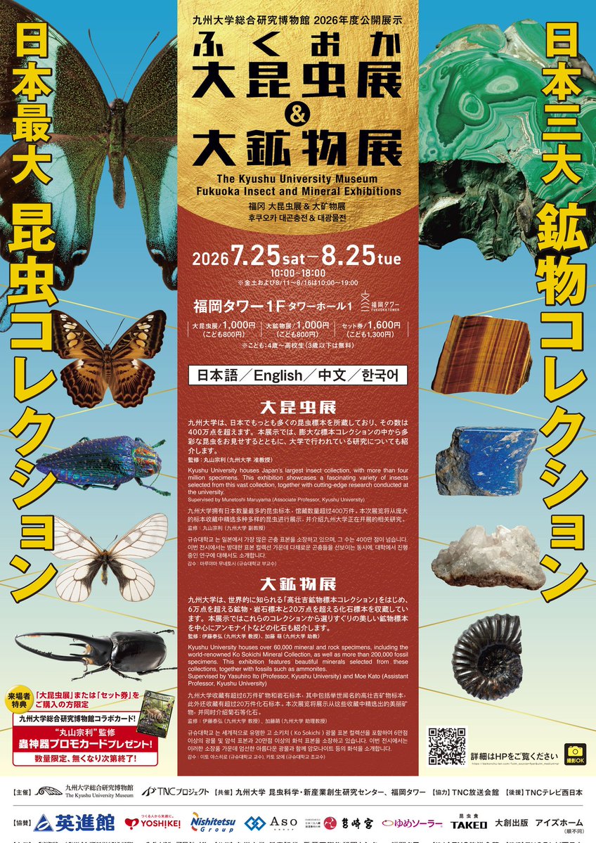 Korotokoroto0's tweet photo. 👑完全情報解禁👑

2026年7月25日～8月25日福岡タワーにて九州大学総合研究博物館2026年度公開展示「ふくおか大昆虫展&amp;大鉱物展」開催！

蟲神器が今年も昆虫展にやってくる！

会場限定の丸山宗利先生複製サイン入り蟲神器コラボの記念ポストカード登場

#ふくおか大昆虫展

https://t.co/XQuqXs2Cjt https://t.co/9mryJnxNGZ