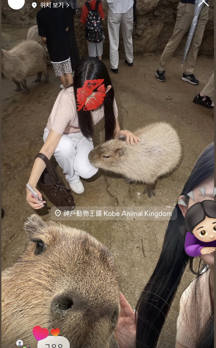 Ing20_0's tweet photo. 친구랑.. 일본여행왔는데
날짜가 겹쳐서 영통햇어요🚶‍♂️🚶‍♂️
사건 너무많아서 거의 다 비방용임 https://t.co/hCTwNQ35M6