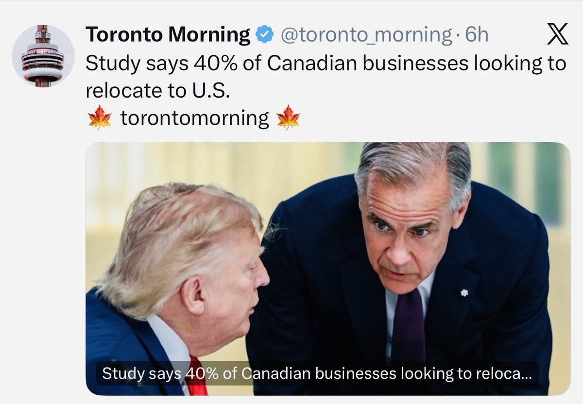 Toronto Morning tweet media