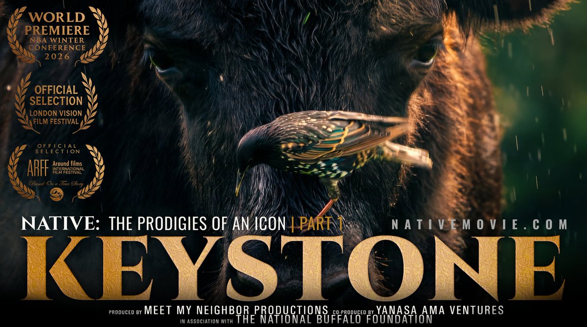 BuffaloRon tweet media