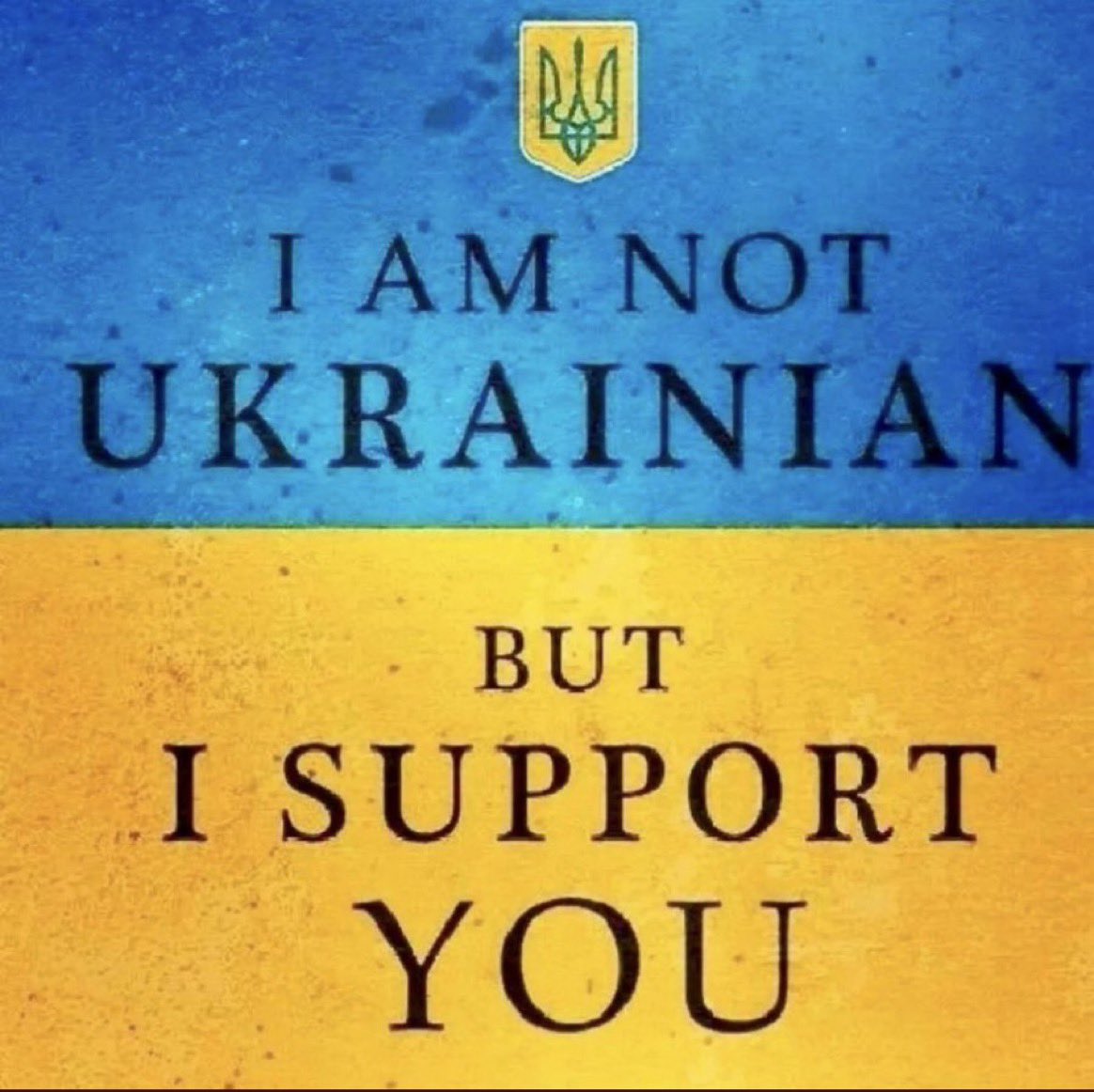 SjoerdNolf's tweet photo. @AlexTaylorNews Slava Ukraini!
Never forget! Never forgive!
#StandWithUkraine #StandWithZelensky
#RussiaIsaTerroristState #PutinIsaWarCriminal
#TrumpIsaRussianAsset https://t.co/A1pYtKVOy0