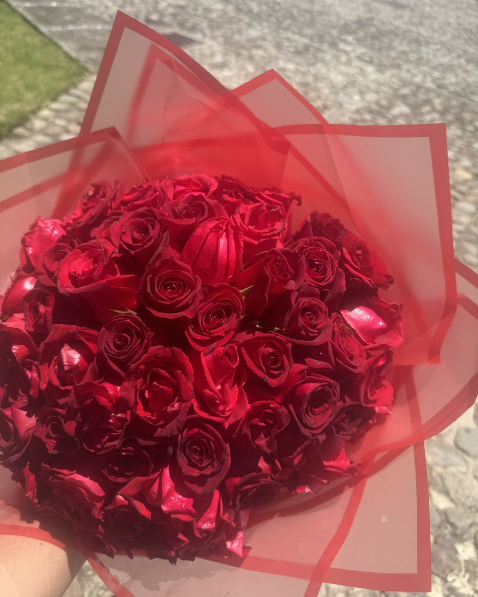 buenasnochesmar's tweet photo. 60 rosas rojas de parte mi amado :,) https://t.co/WA90MWZr9k