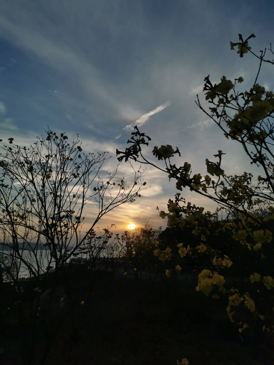 6jafx's tweet photo. Our photography club’s sunset shooting walk this Saturday at 5PM by the city waterfront! Bring your cameras and creative eyes—first 10 members get free custom wristbands. DM to sign up! https://t.co/1eLe8ajZmM