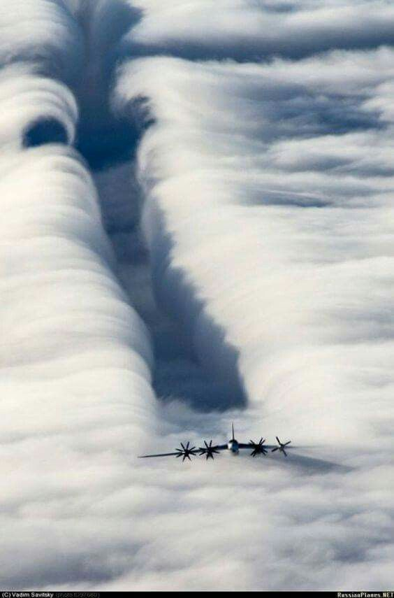 WINGTAGE tweet media