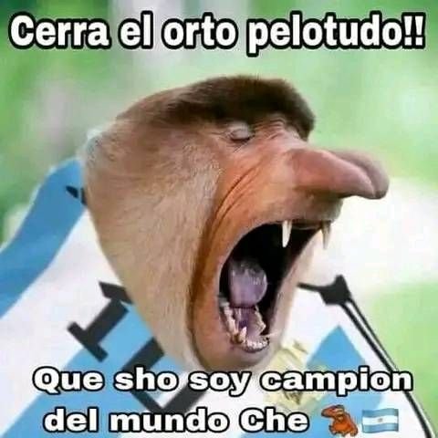 PaddyVIP🇲🇽🇧🇷 tweet media