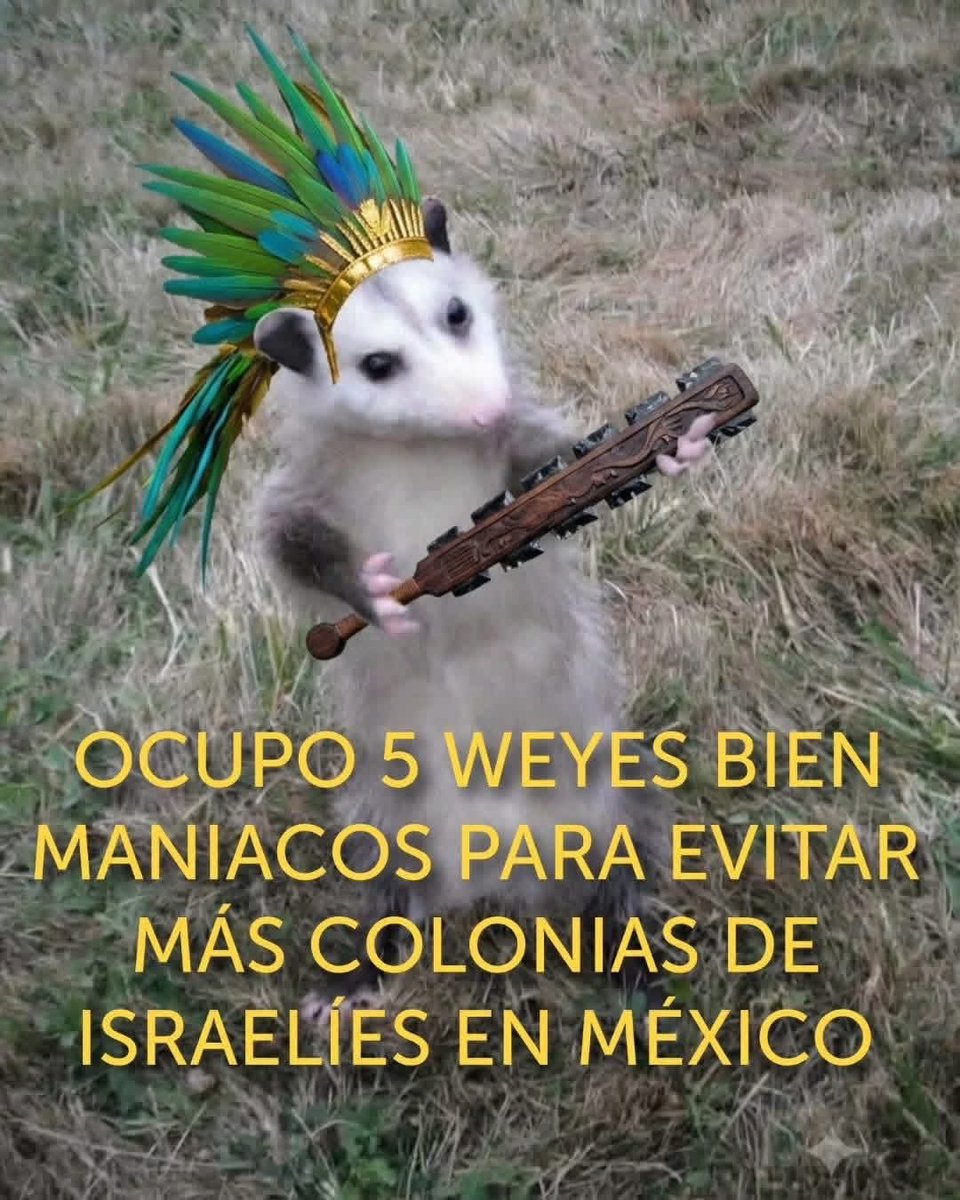 HueiXolotl's tweet photo. 🗿 https://t.co/DrQNxM8cl6