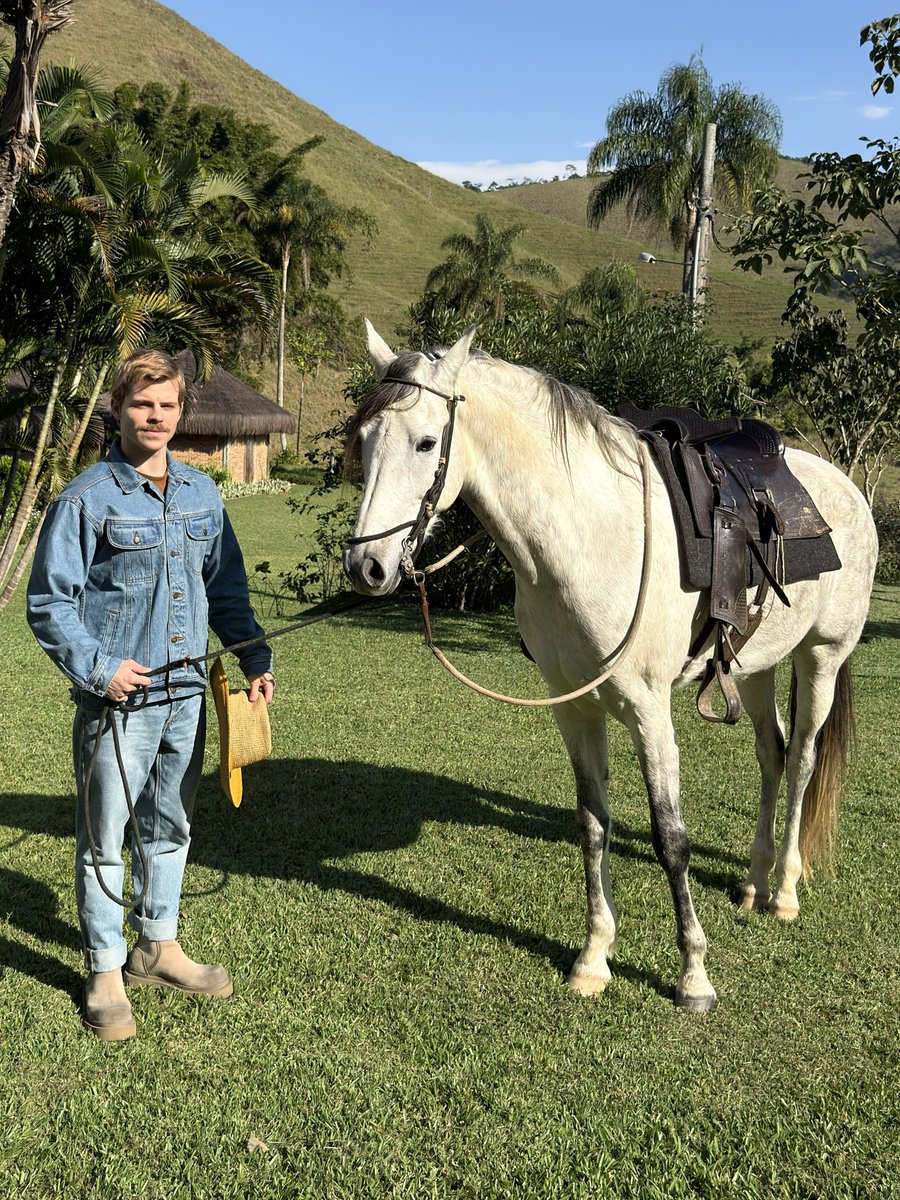 GaelAugusto's tweet photo. Um gato e um cavalo passando pelo seu feed. https://t.co/541XDPYYaX