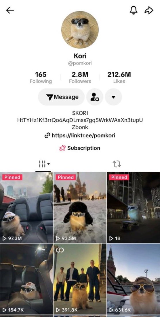 Naagihh's tweet photo. It's becoming increasingly obvious that $Kori is the next Billion dollar meme on $Sol. https://t.co/Q0iJNRdkUH