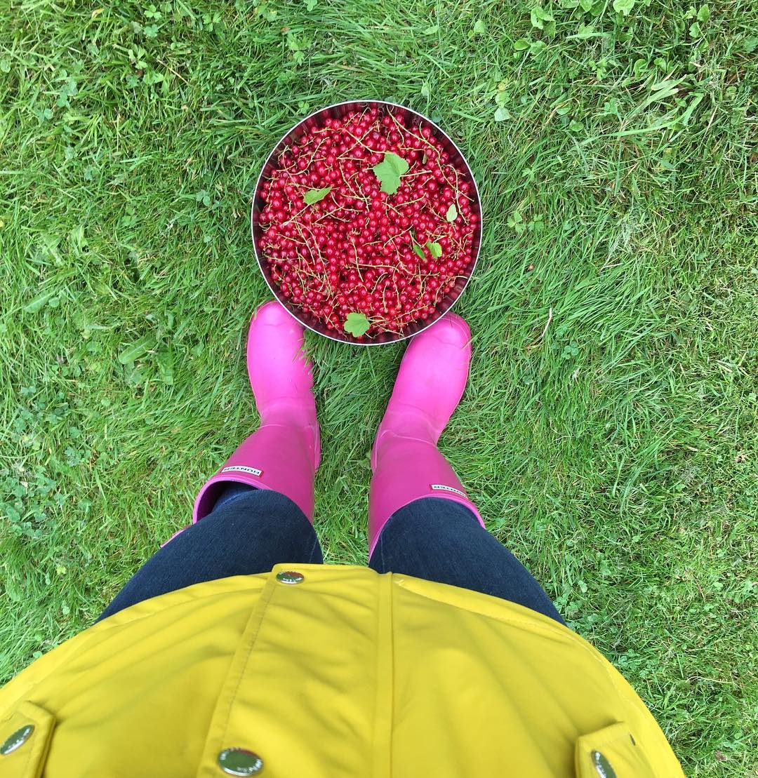 ishepgjcl's tweet photo. Tenk at jeg som fryser bare gradestokken bikker under 20 grader er blitt helårsbader! Mye takket være alltid tøffe, snille, morsomme @lenegsolhaug som har pushet, støttet og ikke minst tatt initiativet! #LanDåsene https://t.co/aB2o4wfDel