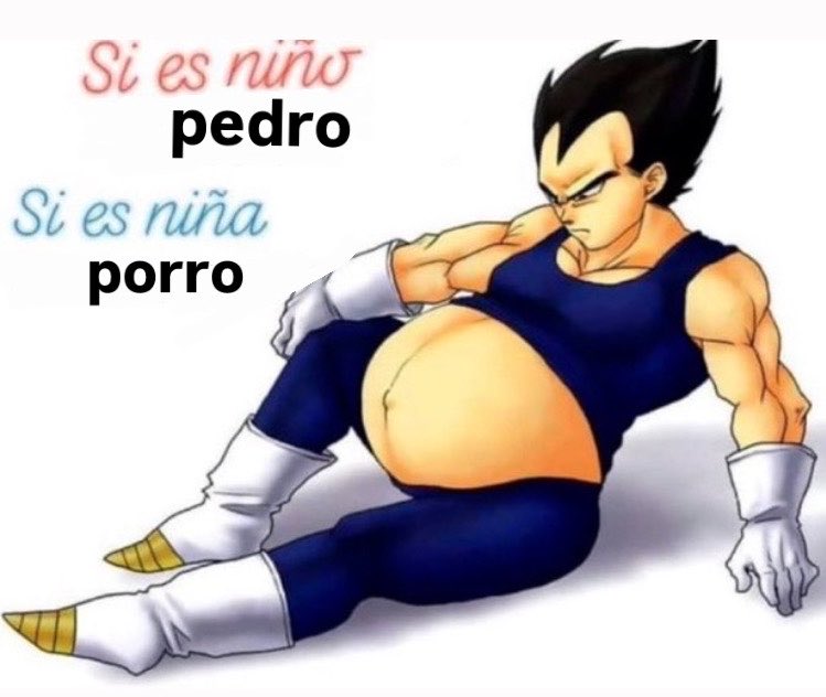 esquizoerizo's tweet photo. españa oeoeoee https://t.co/VbEXEgqP9U