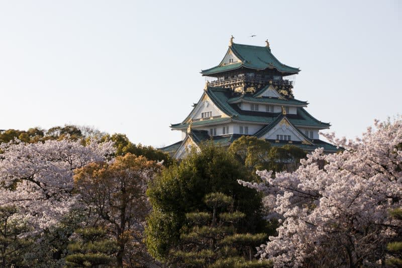 BrighterDayTra1's tweet photo. Exploring Asia with Celebrity Cruises brings you to unforgettable destinations like Osaka, where iconic landmarks such as Osaka Castle stand surrounded by vibrant cherry blossoms and centuries of culture. 
✉️ Contact me today to book your Asia cruise. https://t.co/nQVsNUrXx3