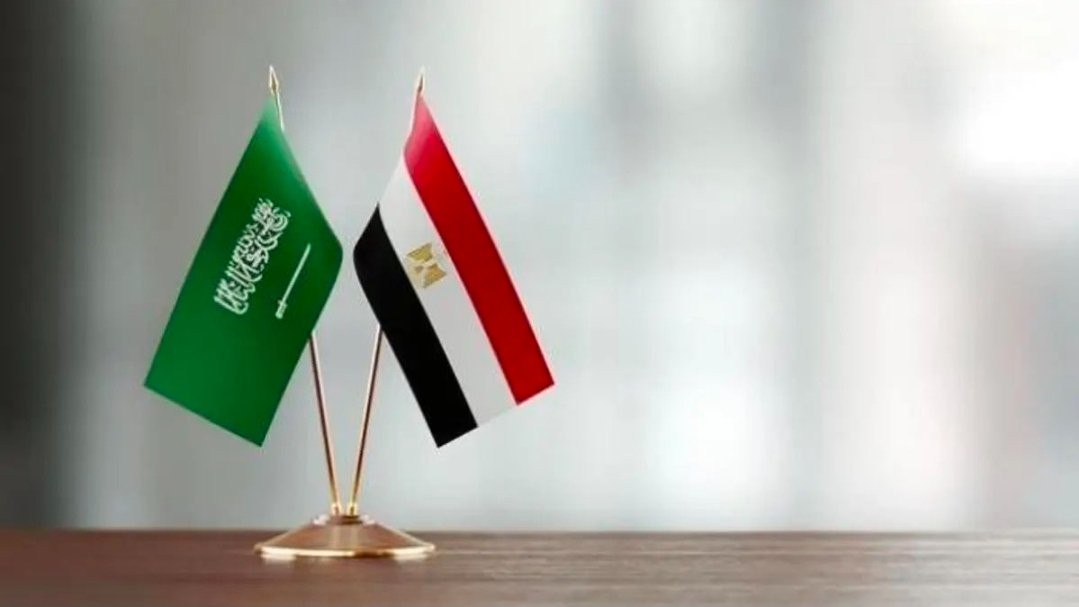 7odaafarouk's tweet photo. @SummaryChannel https://t.co/RUTsrvkSf7