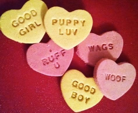 dhomochevskys's tweet photo. wooof ;3 🐾
#puppy #dogboy #puppyboy https://t.co/OctNS44Lrs