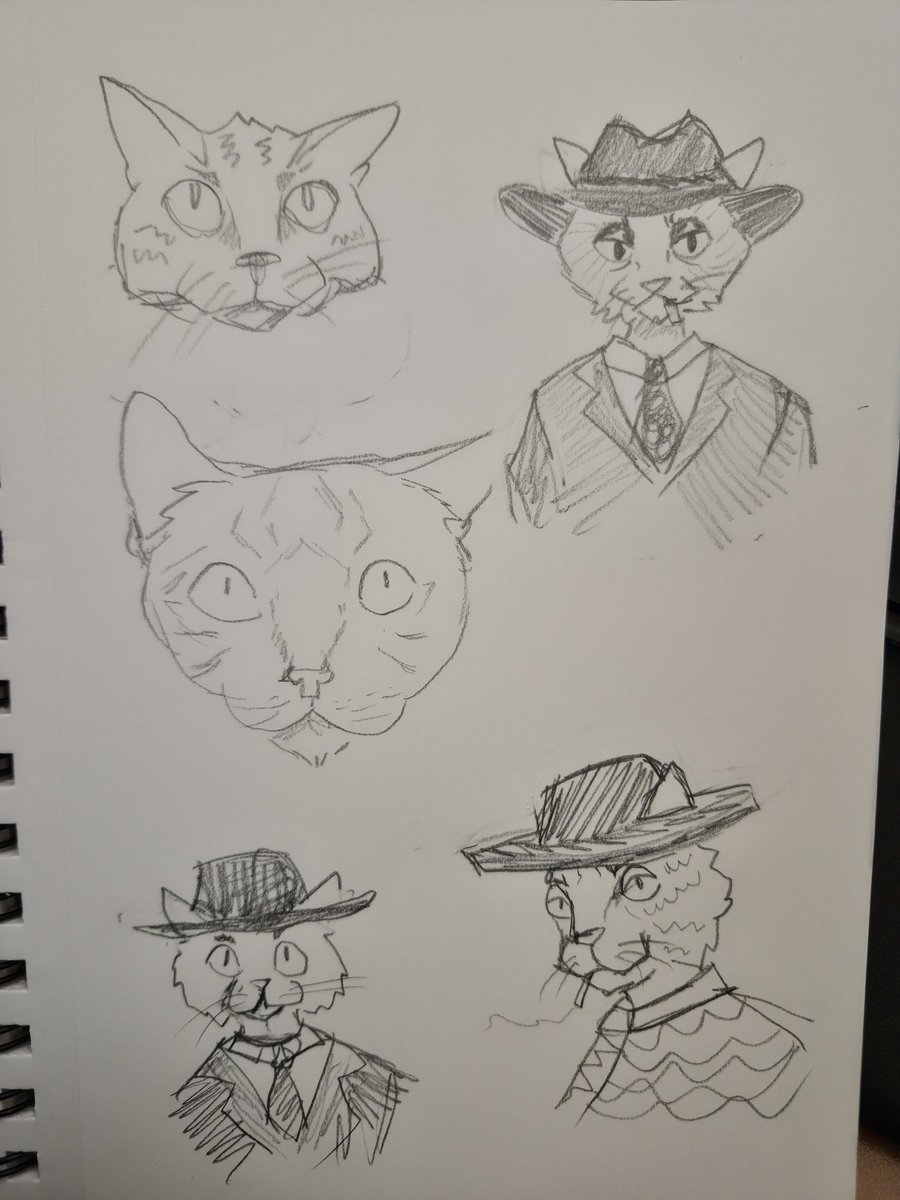 SodapopAgnez6's tweet photo. Cat doodles 🐈 https://t.co/G78uE9jExN