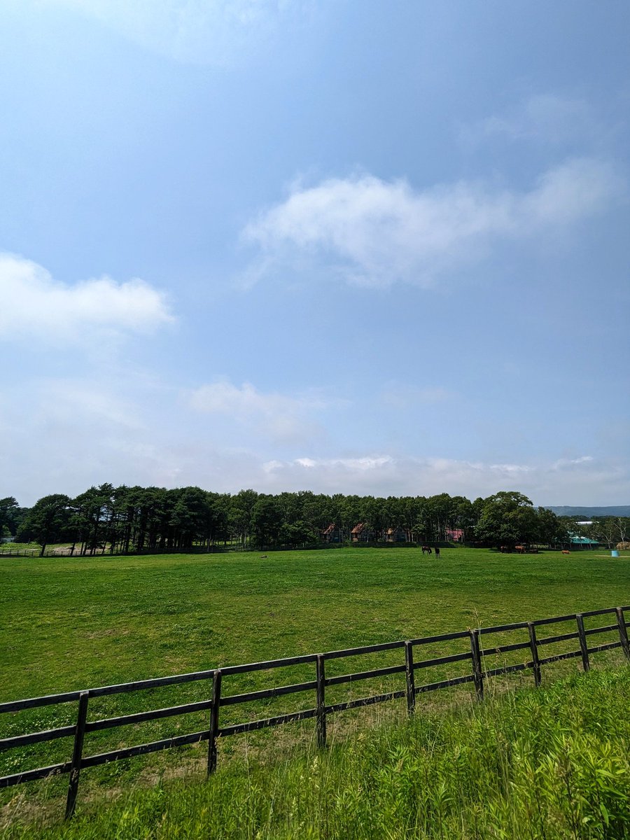 kakanshi's tweet photo. おはようございます。
今日も暑くなりそうですね☀
皆さん熱中症に気をつけてご自愛くださいね🏡🐎 https://t.co/OXjsmbDNkH