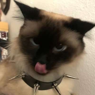 KIRII1I's tweet photo. @Andyfem21 Me lo quiero comer https://t.co/nqrosOfm0A