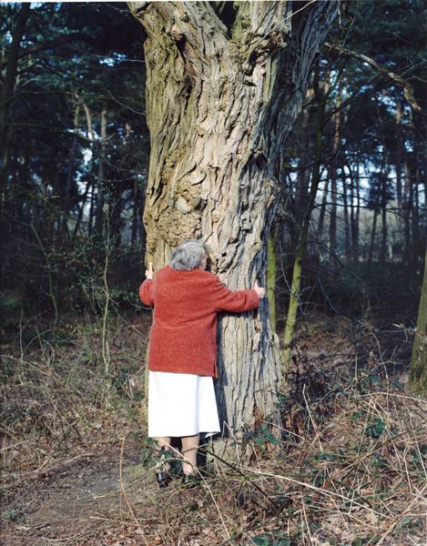 postnucleargirl's tweet photo. the trees you grew up with have not forgotten you https://t.co/Vglt3Q0J07