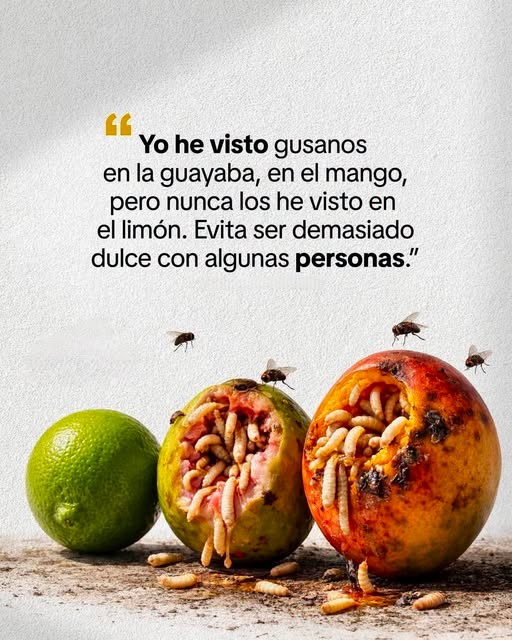 Joel Martinez tweet media