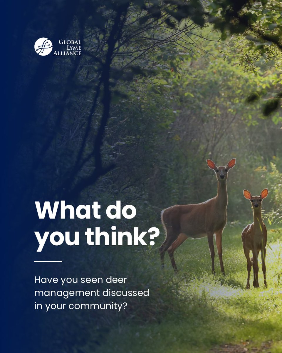 LymeAlliance's tweet photo. While deer are important hosts for adult ticks, young ticks often acquire the Lyme bacterium after feeding on small mammals like white-footed mice—highlighting why deer management is just one piece of a much larger picture.
https://t.co/W105LMbxjz
#lymedisease #alphagal https://t.co/p5SDMiRrq8