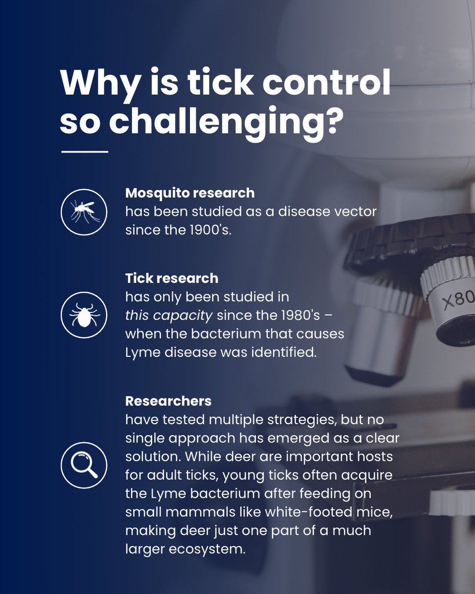 LymeAlliance's tweet photo. While deer are important hosts for adult ticks, young ticks often acquire the Lyme bacterium after feeding on small mammals like white-footed mice—highlighting why deer management is just one piece of a much larger picture.
https://t.co/W105LMbxjz
#lymedisease #alphagal https://t.co/p5SDMiRrq8