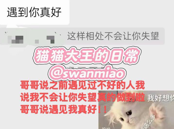 swanmiao's tweet photo. 《这才是真正的态度好》哥哥们可以看一下我的聊天记录有什么问题我都耐心解答了然后哥哥也没有让我失望入啦我的vip门哥哥们放心我不会不理人的真的很漂亮嘻嘻 看p2被哥哥夸啦套图也被哥哥夸真香福利超多哦情绪价值拉满咨询直接推特私信我or➕qq3104394480发口令30后续补差价入门哦快来私信可爱猫🦋 https://t.co/J93C0GEQA2
