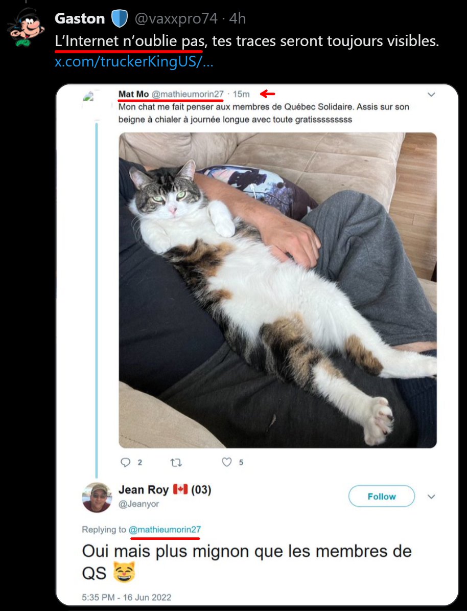 Gaston 🛡️ tweet media