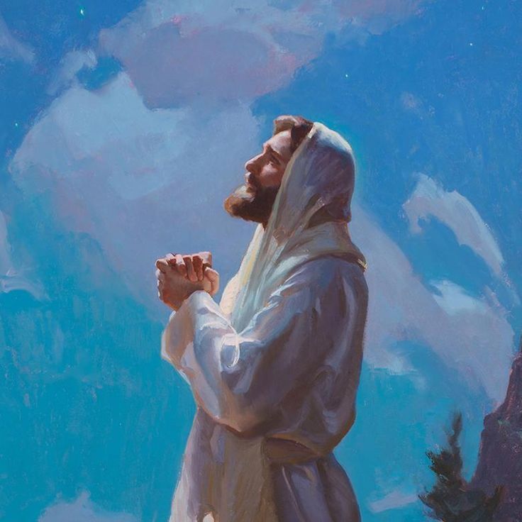Santododia1's tweet photo. ✝️ EVANGELHO DO DIA - 15/07/2026

Mt 11,25-27

25 Naquele tempo, Jesus pôs-se a dizer: "Eu te louvo, ó Pai, Senhor do céu e da terra, porque escondeste estas coisas aos sábios e entendidos e as revelaste aos pequeninos. 26 Sim, Pai, porque assim foi do teu agrado. 27 Tudo me foi entregue por meu Pai, e ninguém conhece o Filho, senão o Pai, e ninguém conhece o Pai, senão o Filho e aquele a quem o Filho o quiser revelar".

— Palavra da Salvação.

— Glória a Vós, Senhor.

Que as palavras do Santo Evangelho
perdoem os nossos pecados 
e nos guardem para 
a Vida Eterna. 
Amém.