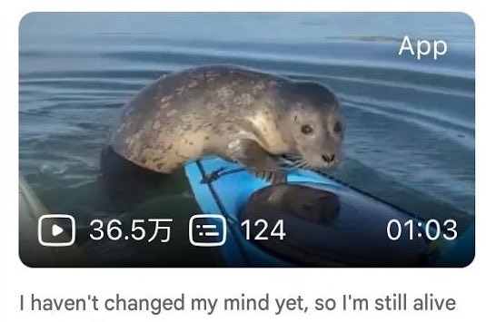 mistapussy's tweet photo. happens to us all, baby seal https://t.co/f8DQp9wXka