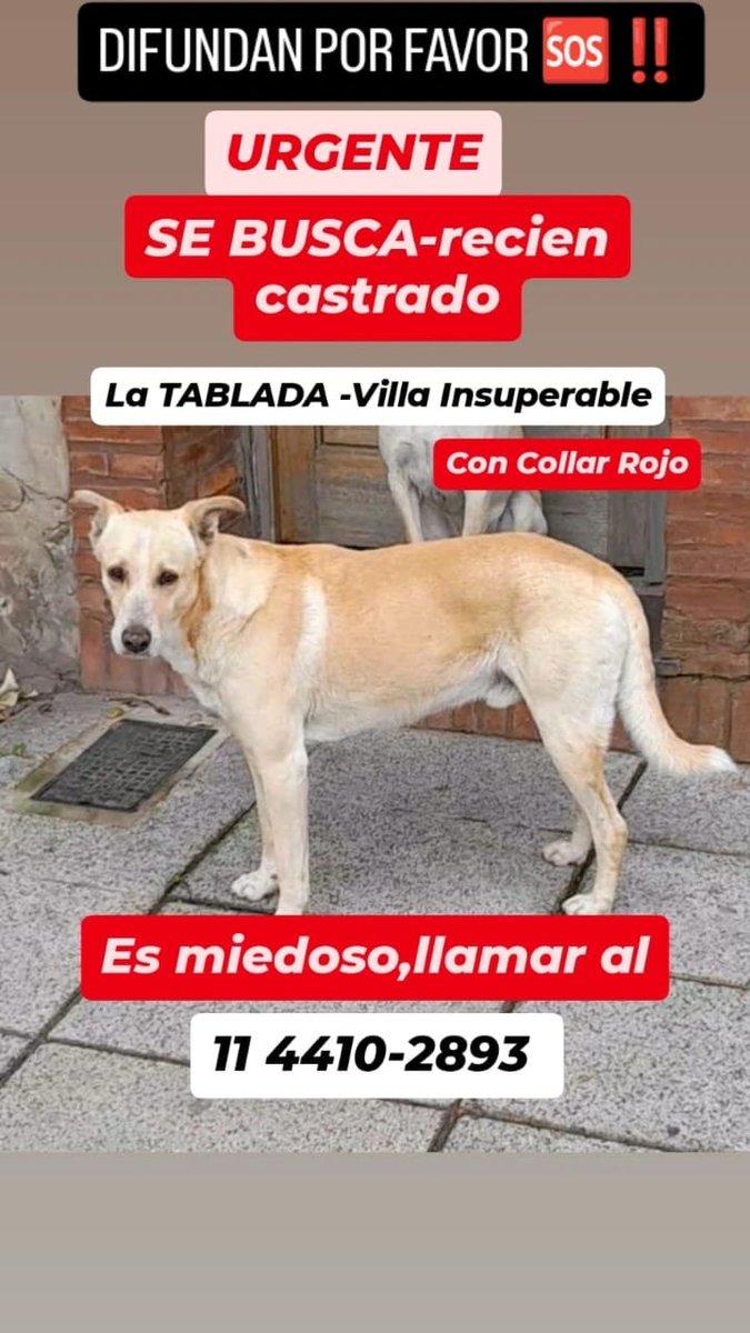 patripeyrou's tweet photo. Difundimos 
Rt https://t.co/JppHlHEpVz