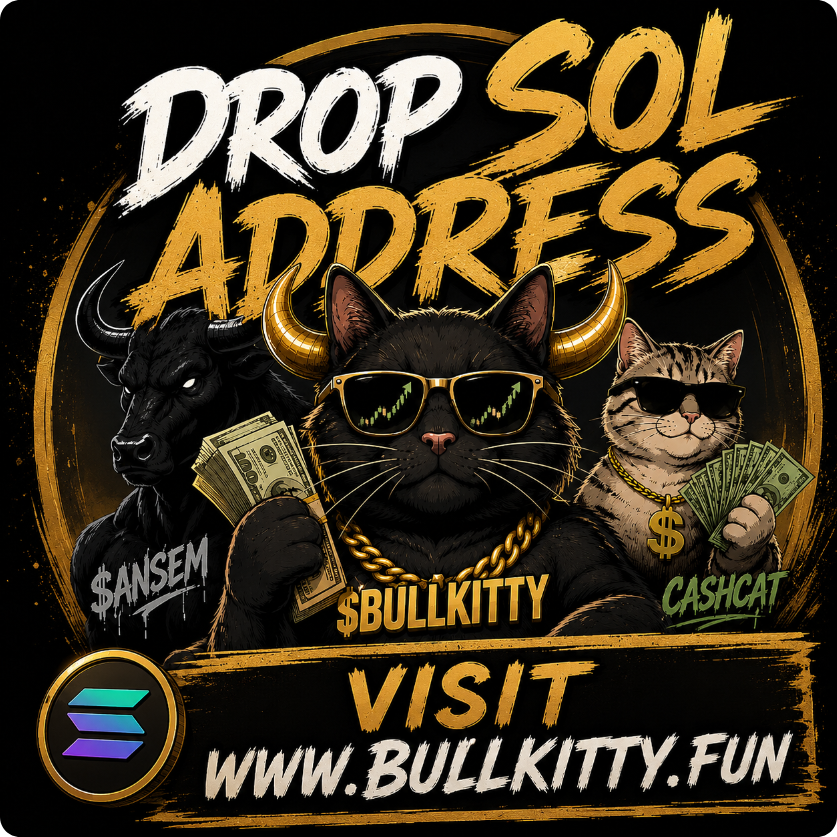 BULL KITTY tweet media