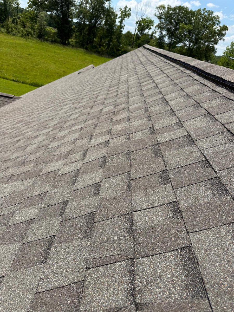 CanalesAnd37740's tweet photo. ✨ Build with confidence with Canales Construction And Roofing LLC 🏠
Professional roofing, siding, framing, and remodeling services backed by 18 years of experience.
📍 Louisiana
📞 225-276-4135

#RoofingServices #Construction #HomeRenovation #Louisiana https://t.co/KCZFL2mrBZ