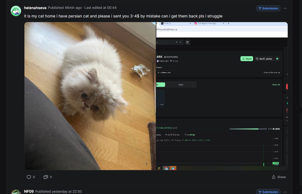 CATTEARS tweet media