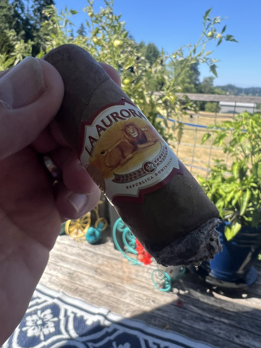 EdeHiggins41872's tweet photo. Ed-e Higgins is smoking La Aurora 1987 Connecticut. Rated with thumbs up! https://t.co/uAmthyCW9Y good afternoon dojo. https://t.co/8G3CLSc1Ni