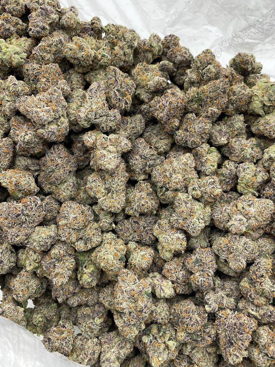 legit_weedplug's tweet photo. Delivering za right now ATL ONLY📍who need dat
7- 6️⃣0️⃣
Half- 1️⃣0️⃣0️⃣
Zips- 1️⃣8️⃣0️⃣
Dm 4 deals
#atlplug #atl #atlweed #mobile #plugatl #atlza #zaza #Atlanta #atlweedman #decatur #downtownatl #atlmeets #redan #stonemountain #lithonia https://t.co/FI6V56coyt