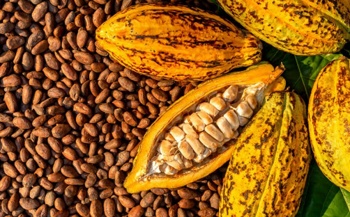 thecableng's tweet photo. Nigeria, Ghana, Côte d'Ivoire, Cameroon form alliance to end raw cocoa exports 

Nigeria, Ghana, Côte d’Ivoire, and Cameroon have signed the Abuja Declaration, forming an alliance that aims to end the exports of raw cocoa beans.

Under the pact, the nations are aiming to negotiate with international cocoa buyers as a single bloc controlling about 75 percent of global production.

The four countries signed the declaration on Tuesday at the 2026 cocoa value addition summit in Abuja.

https://t.co/AdFPr15NJI