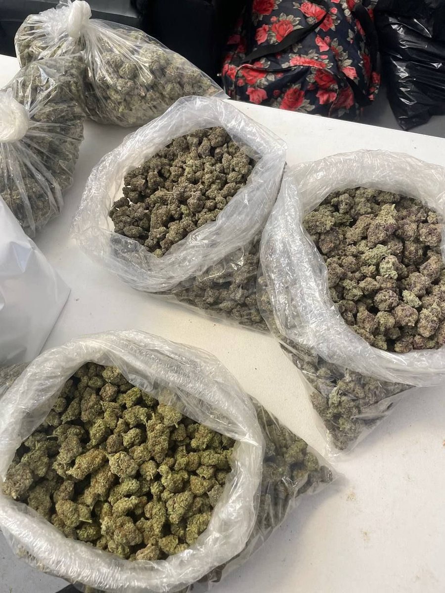 legit_weedplug's tweet photo. Come grab some
#londonweed #ukweed #liverpoolweed #cannabis #ukstoner #uk #birminghamweed #manchesterweed #newcastleweed #leedsweed #cbd #sheffieldweed #london #glasgowweed #bristolweed #thc #bhfyp #weed #nottinghamweed #brightonweed #dankofengland #hightimes #weedaustralia #uk https://t.co/kdhgYBkKbG