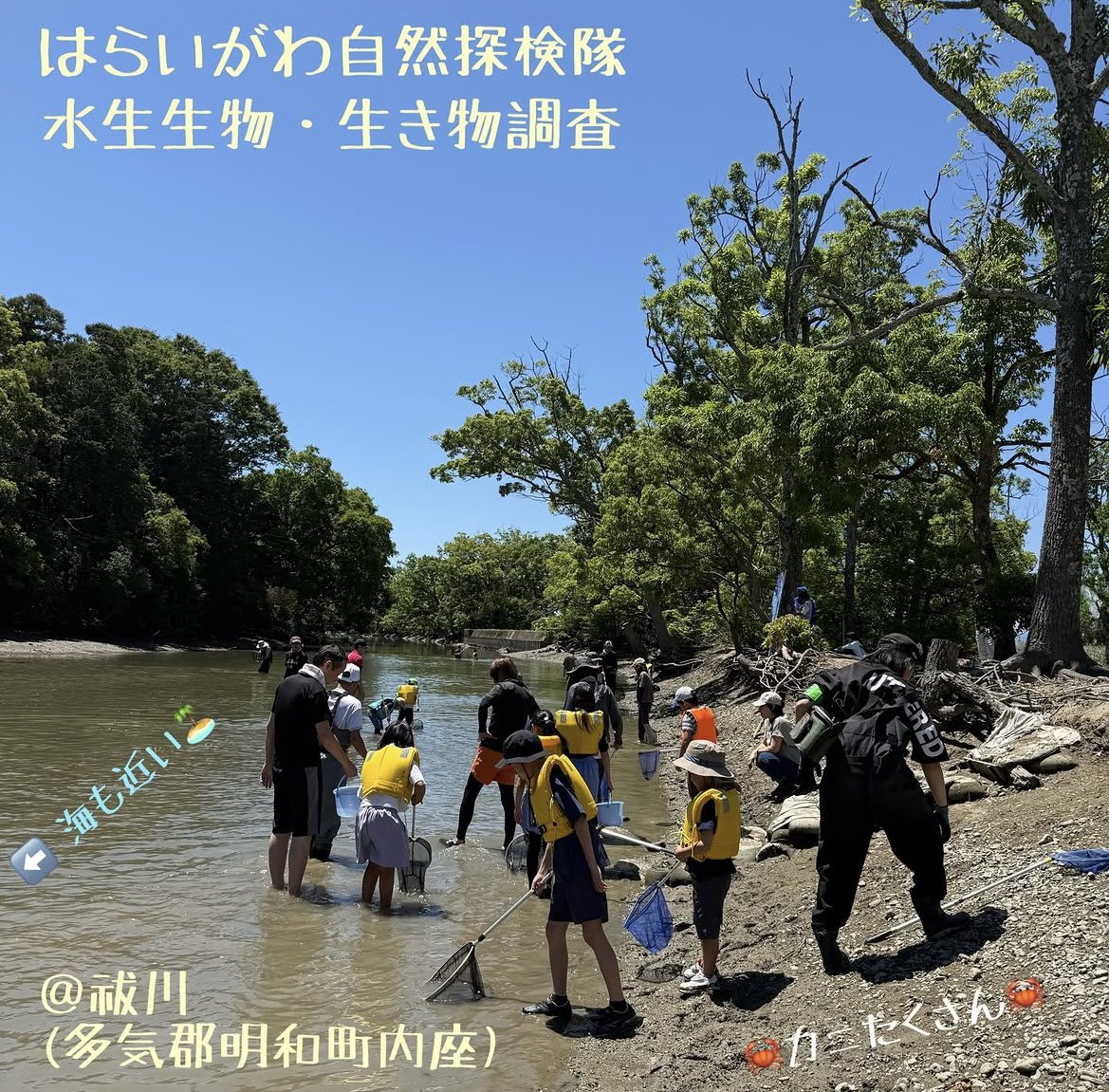 sakanatokodomo tweet picture