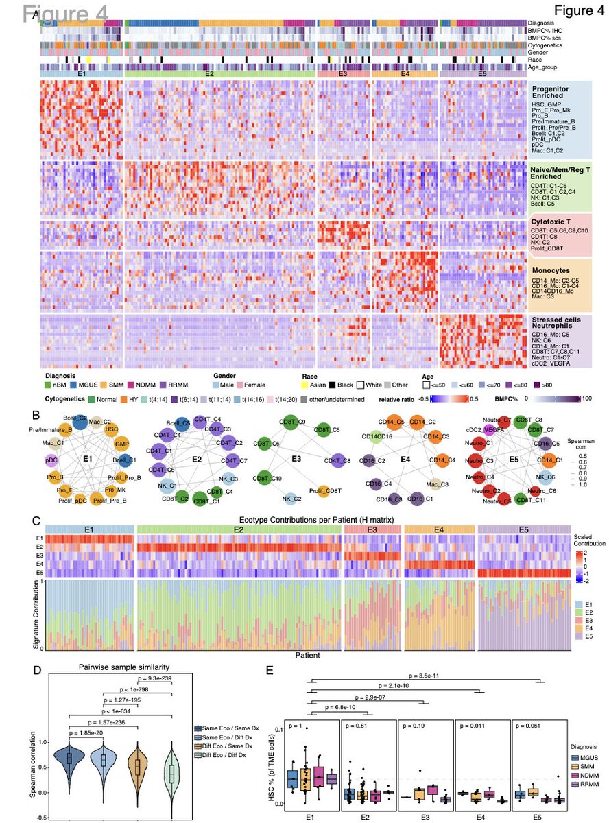 Myeloma_Doc's tweet photo. See the @MDAndersonNews write-up of our recent study focusing on the tumor microenvironment across the disease spectrum in myeloma and the implications for understanding tumor biology: https://t.co/6DMPtq8Uqp. https://t.co/tcBiMDo9Hi