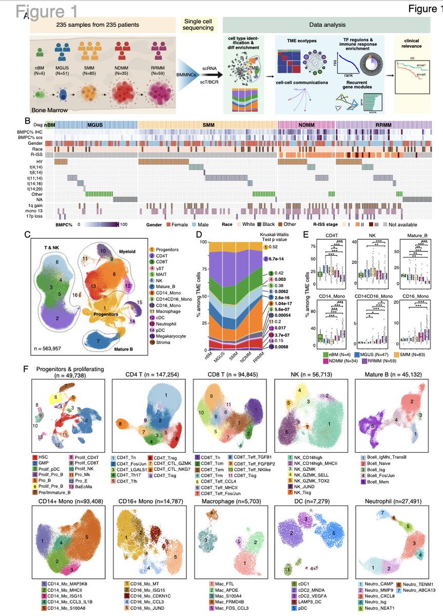 Myeloma_Doc's tweet photo. See the @MDAndersonNews write-up of our recent study focusing on the tumor microenvironment across the disease spectrum in myeloma and the implications for understanding tumor biology: https://t.co/6DMPtq8Uqp. https://t.co/tcBiMDo9Hi