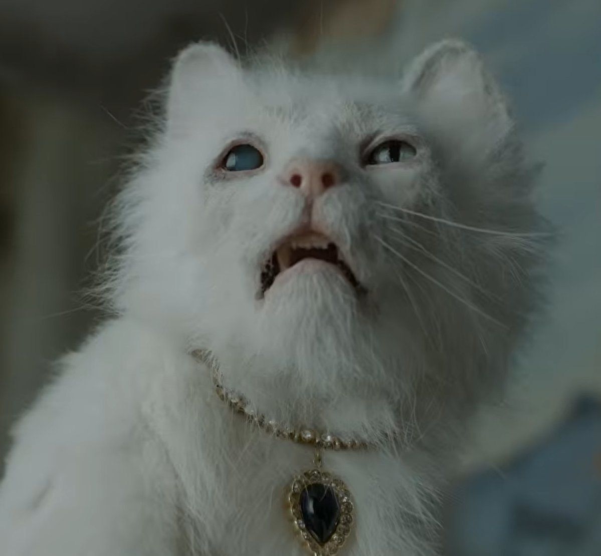 Xx_WiReD_xX's tweet photo. $AMC #NotADeadCat https://t.co/wsNqtMvTHC
