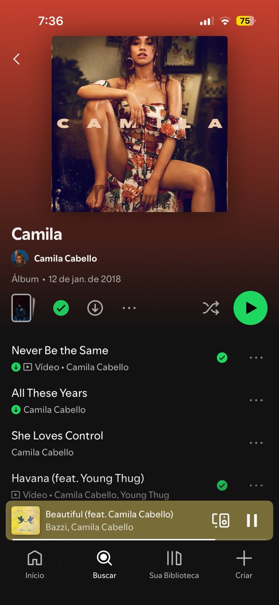 dwskcc's tweet photo. imagina não ter um álbum ruim? não saber a cor do novo álbum da camila tá me matando https://t.co/DkvTJLQzzm