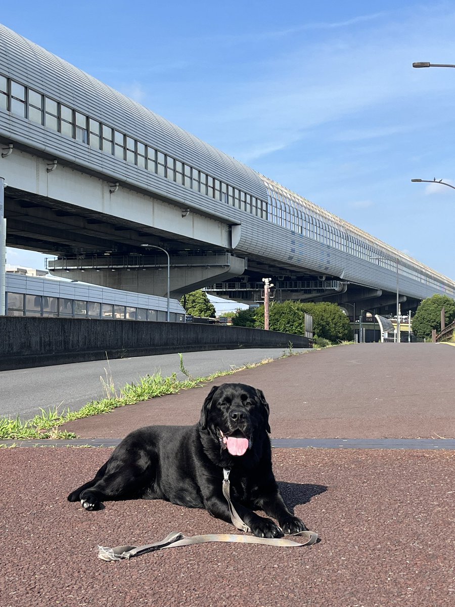 mansensho's tweet photo. もうすぐリニューアルオープン https://t.co/odPcsUkHMj