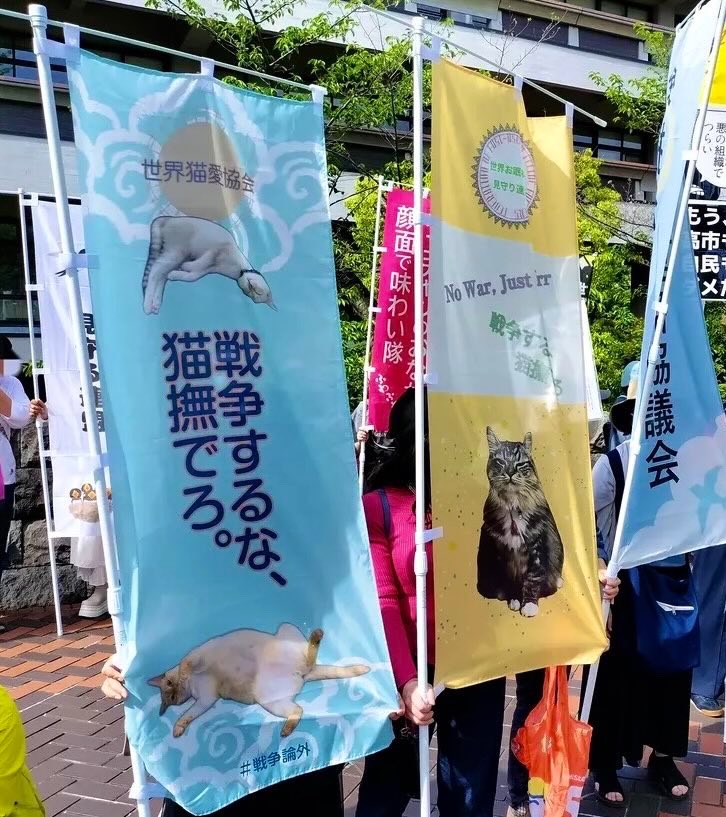 たろうまる tweet media