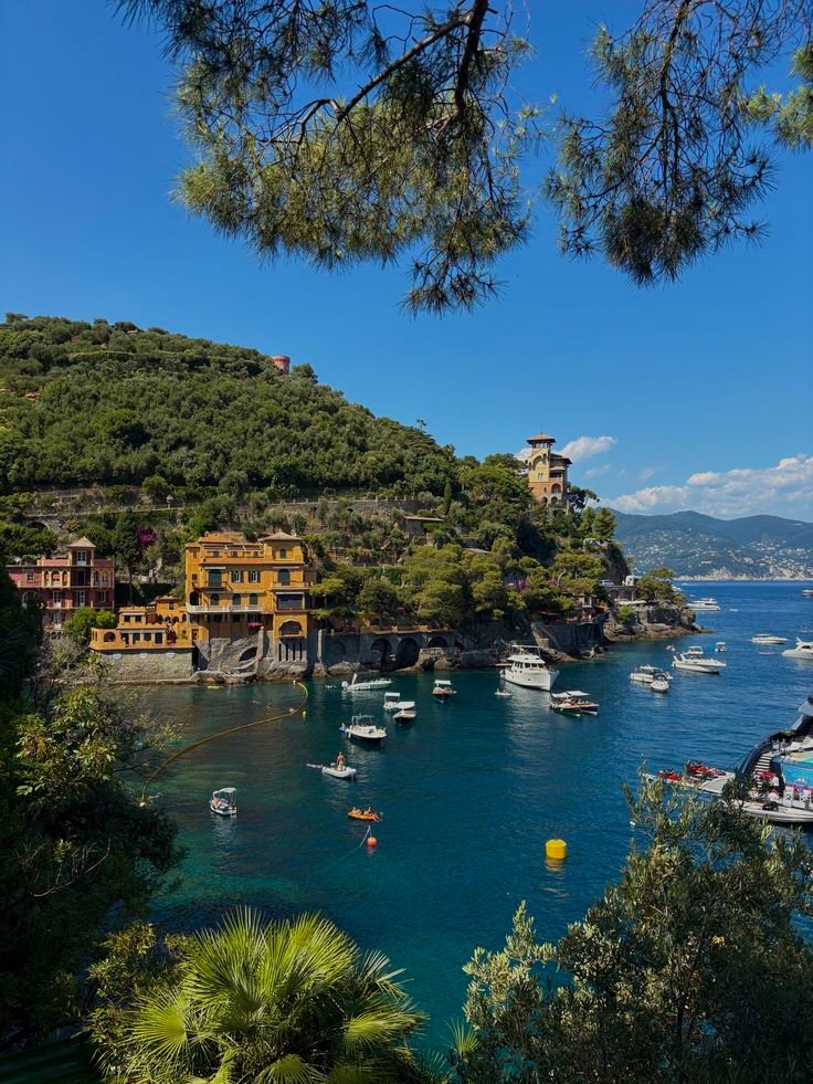 purelivn's tweet photo. Portofino, Italy https://t.co/TvFnPNkoxy
