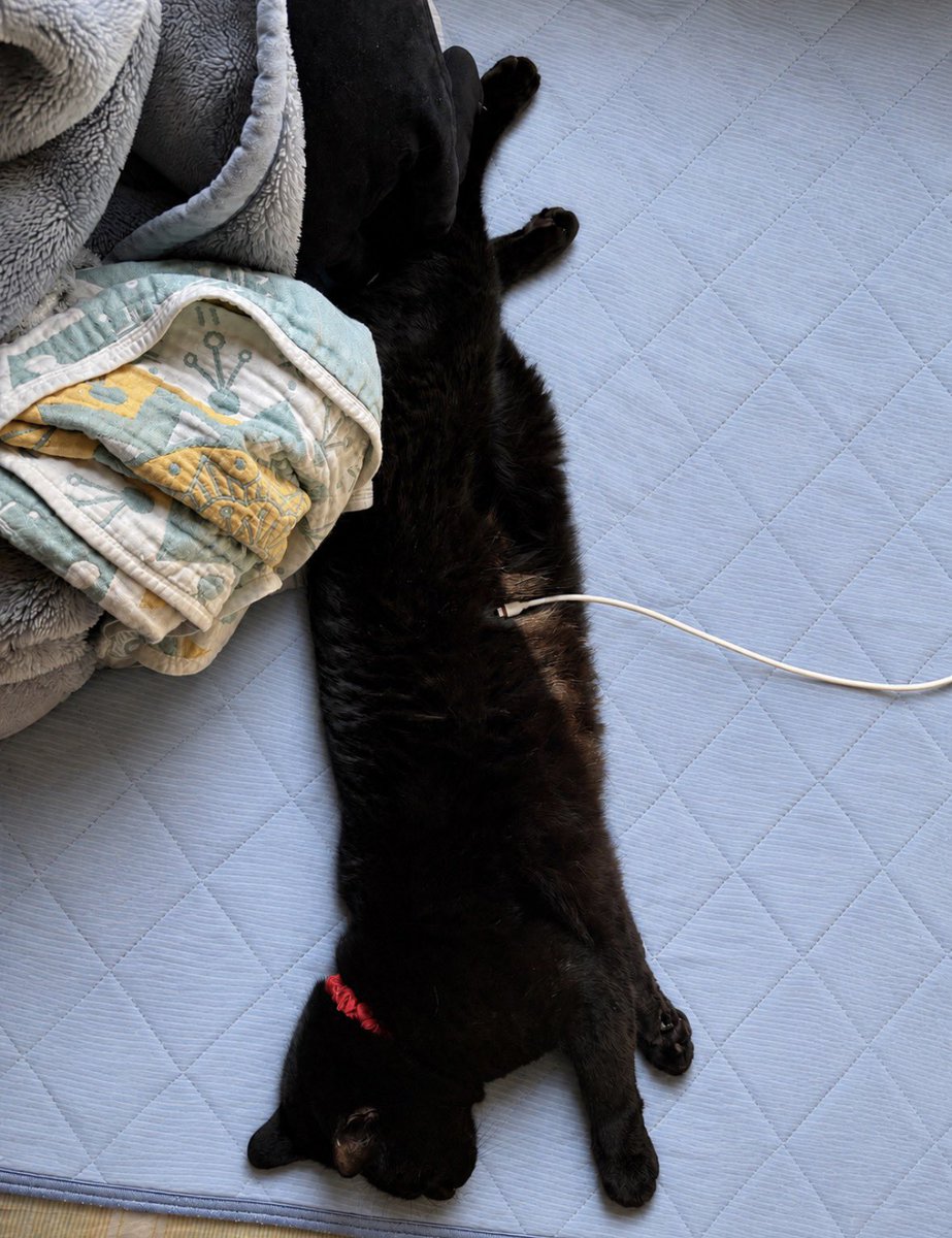 水曜日の黒猫🐈‍⬛ 6.35 充電中🪫🐈‍⬛